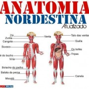 Dica: como entender melhor um nordestino (como eu)