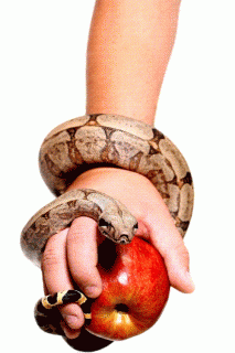 snake-apple-sin