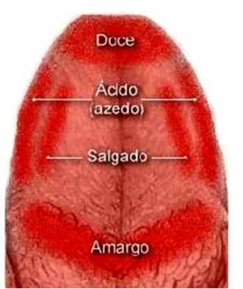 poder-palavra-lingua power-tongue