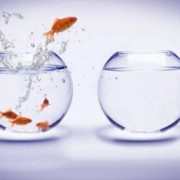 new-life-change